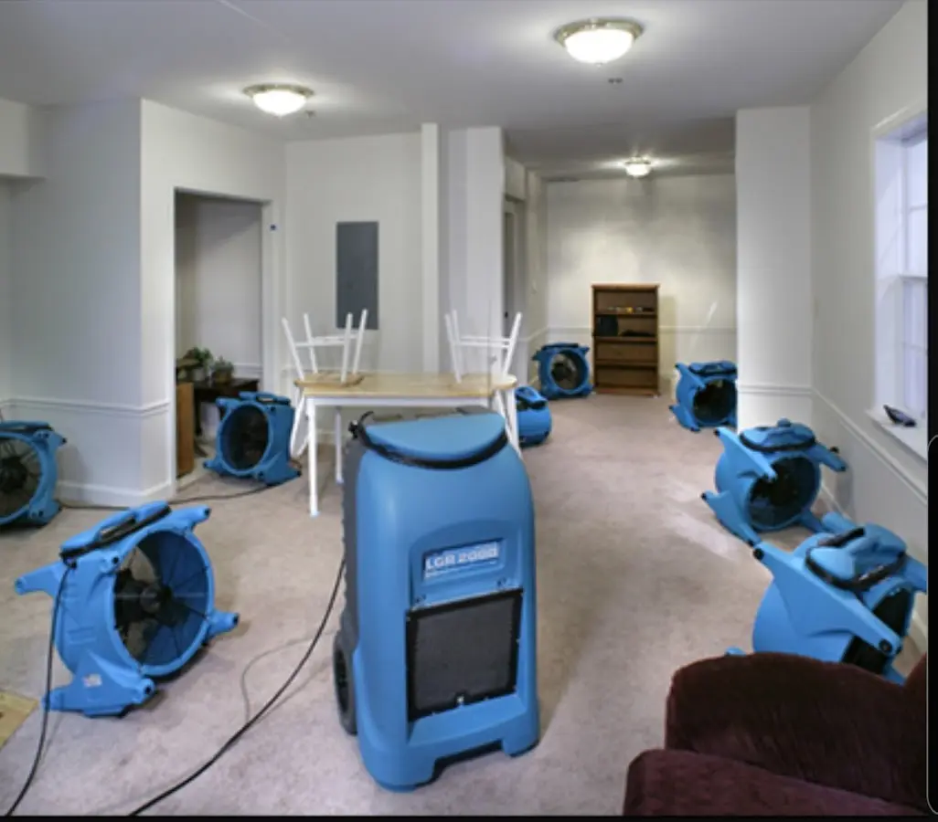 Air movers and dehumidifier setup for Water Extraction & Removal in Placentia