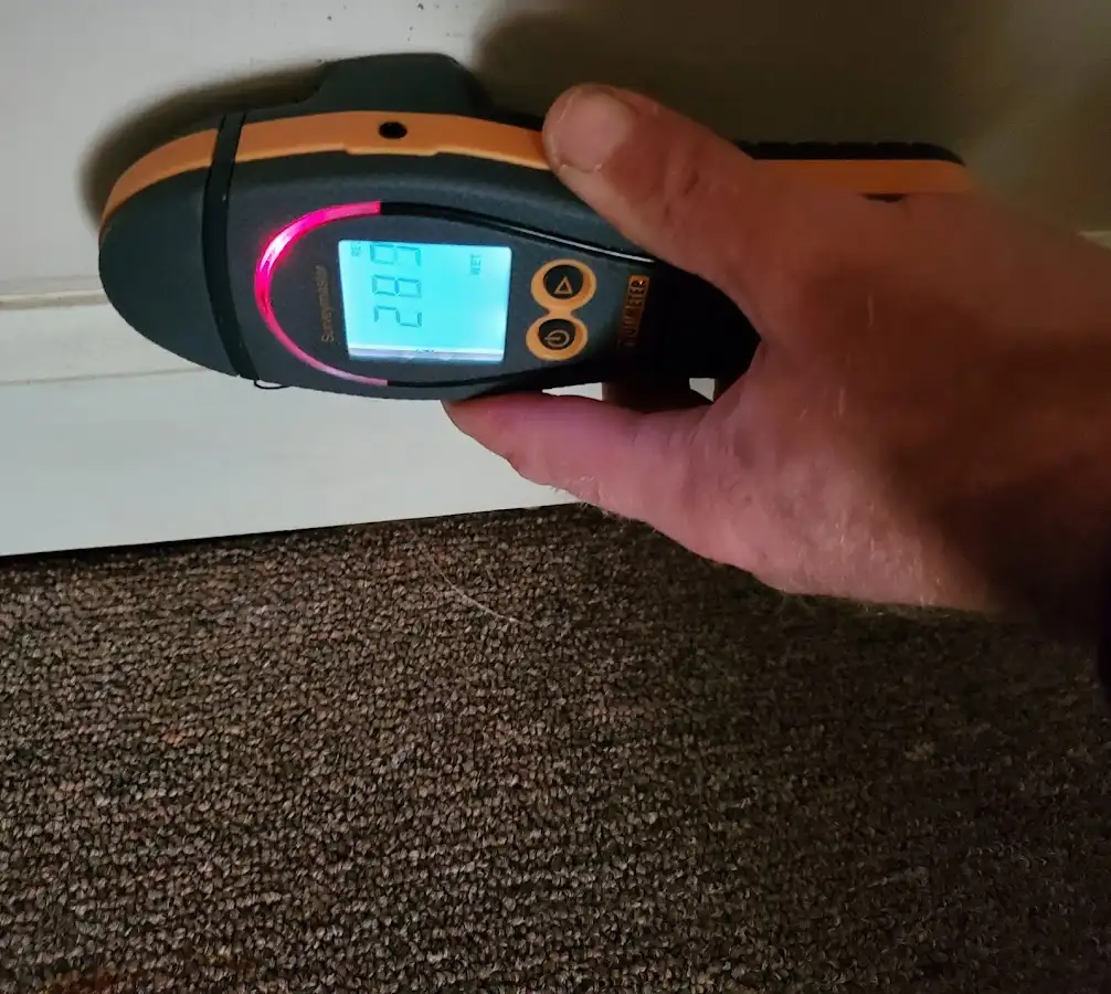 Moisture detection at baseboard during Sewage Cleanup & Sanitation in Placentia